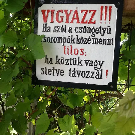Pensjonat Sorompo Vendeghaz Balatonkenese